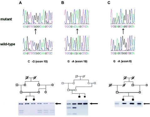 Figure  2