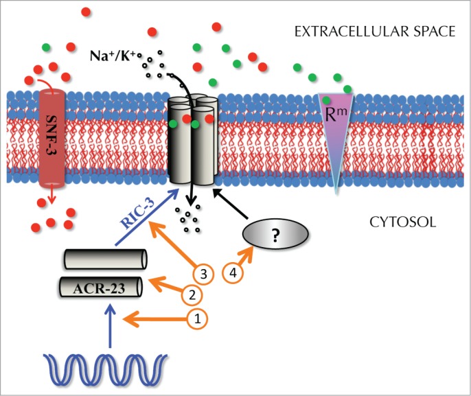 Figure 1.