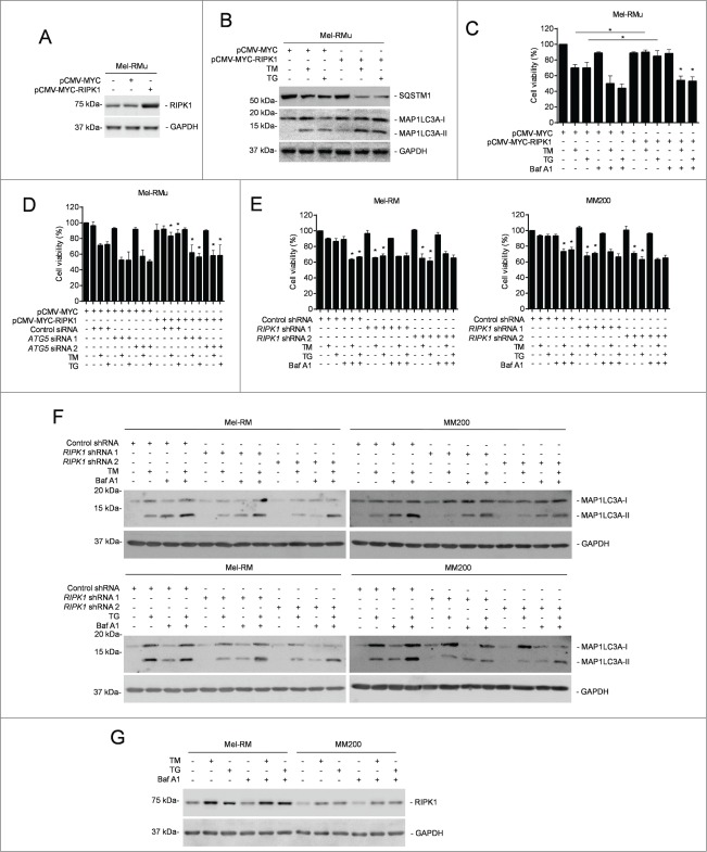 Figure 4 (See previous page).