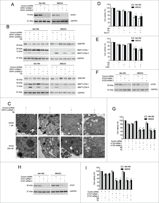 Figure 3 (See previous page).