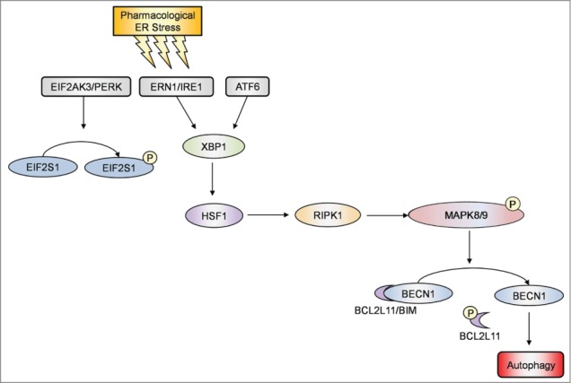 Figure 9.