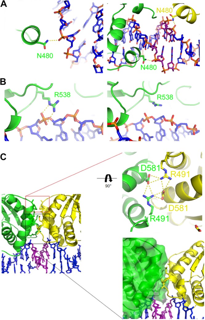 FIG 3