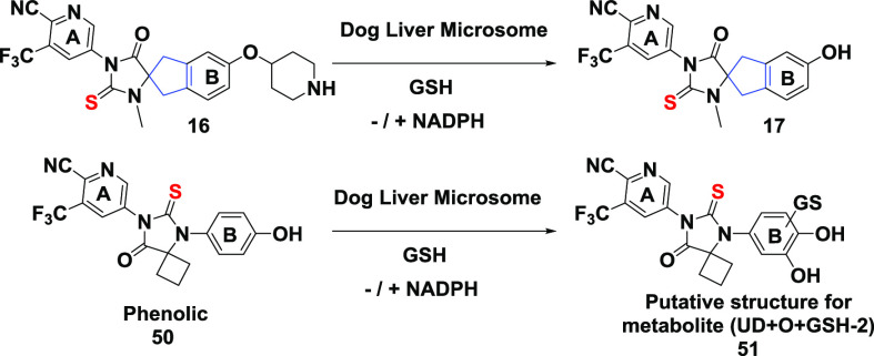 graphic file with name ml1c00032_0013.jpg