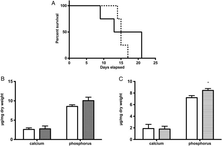 FIGURE 6: