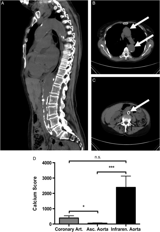 FIGURE 7: