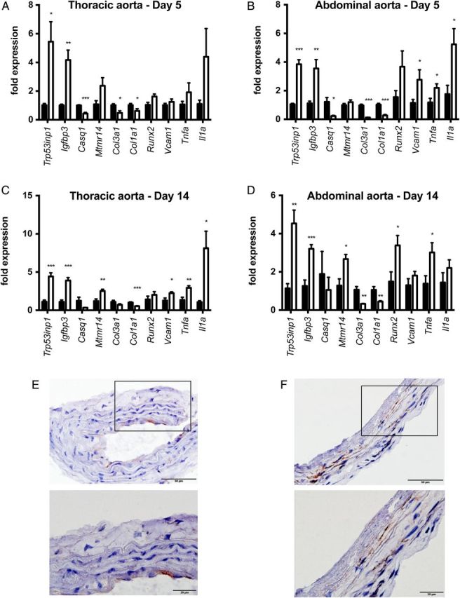 FIGURE 4: