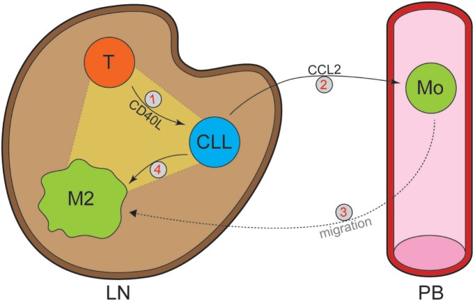 Figure 4.