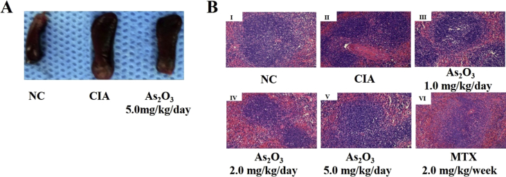 Fig. 4