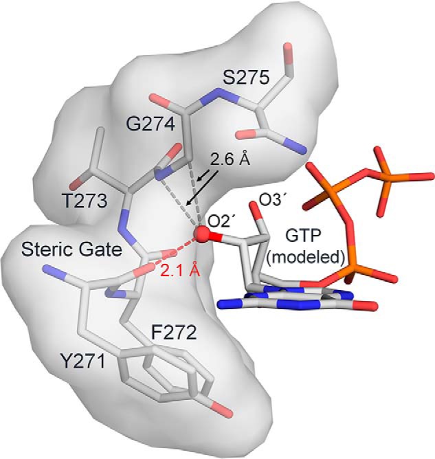 Figure 2.