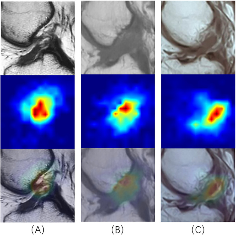Fig. 7