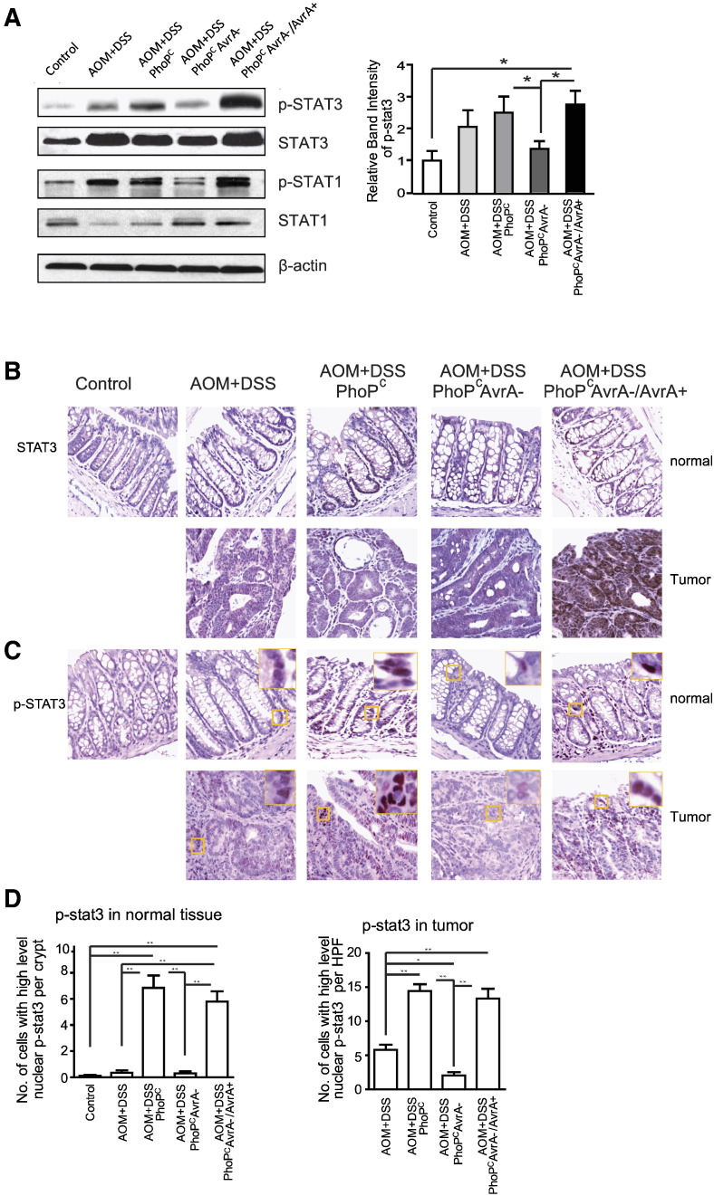 Figure 2