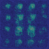 Figure 5b:
