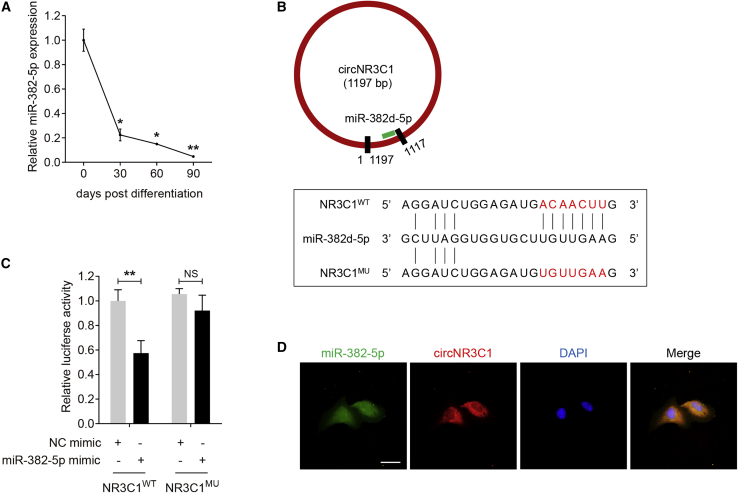 Figure 3