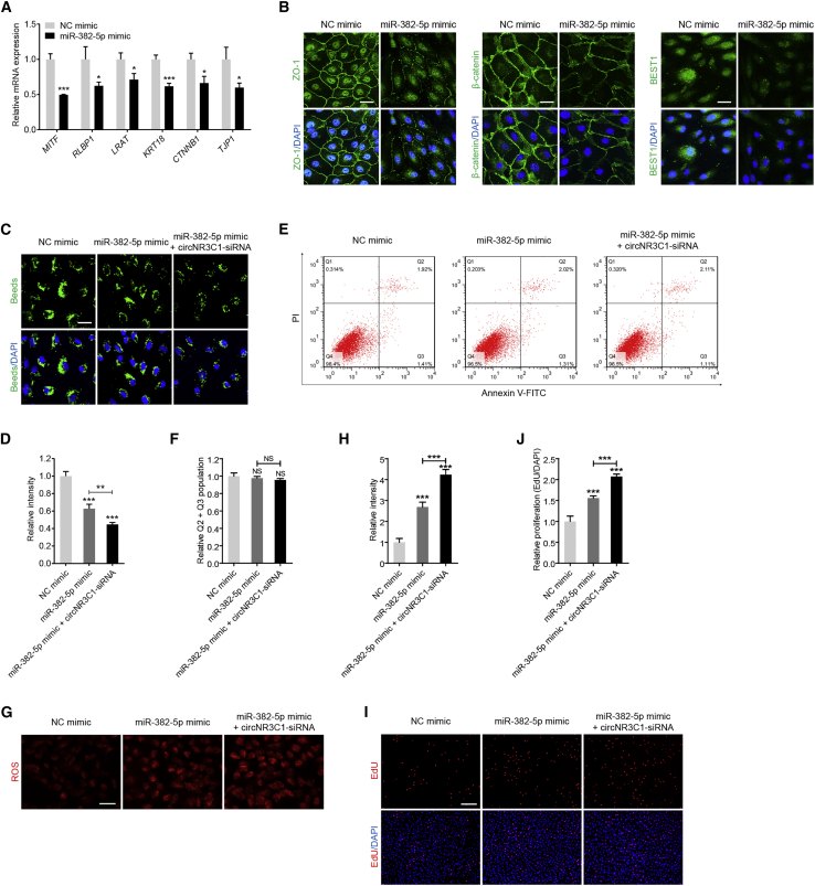 Figure 4