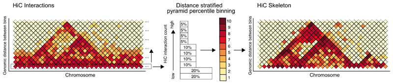 Extended Data Fig. 1