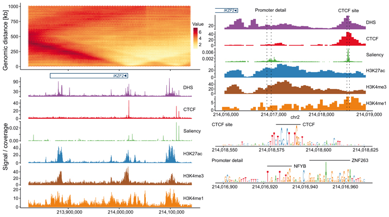 Extended Data Fig. 5