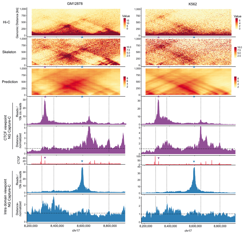 Extended Data Fig. 4