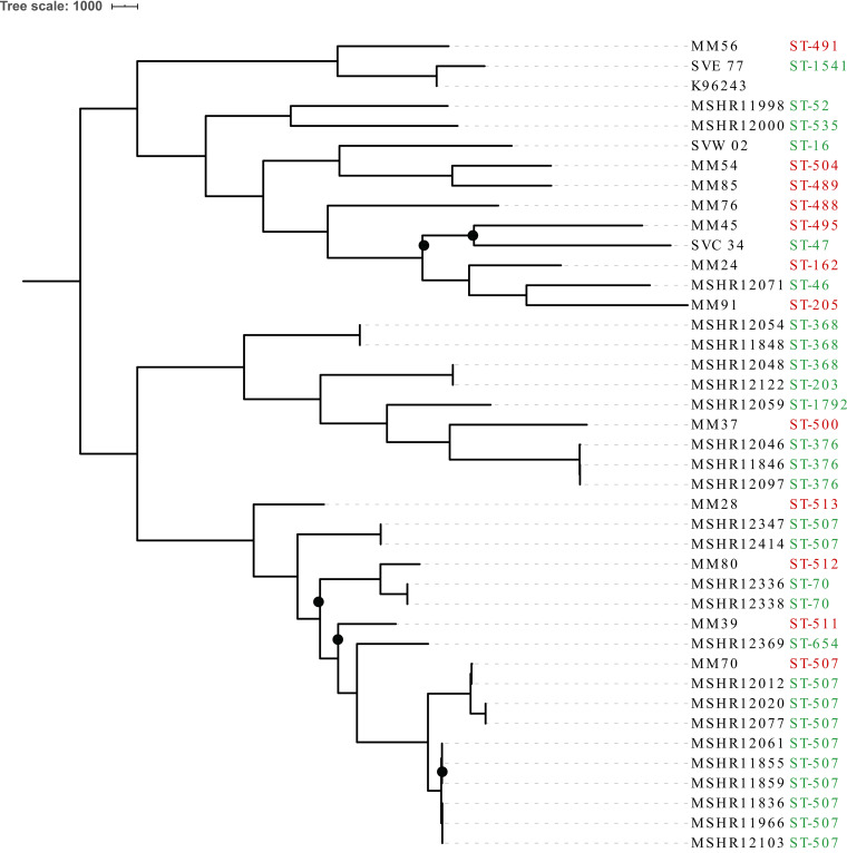 FIG 3