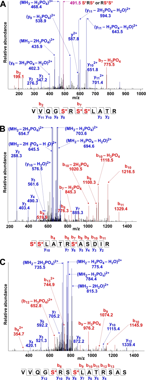 FIGURE 2.