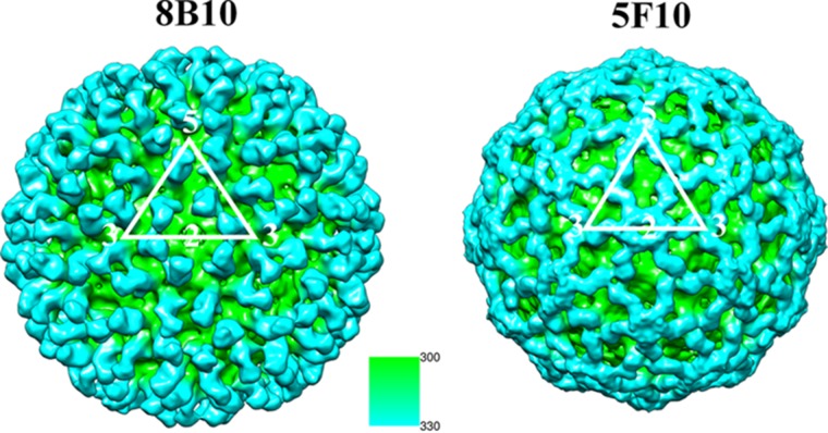 FIG 2