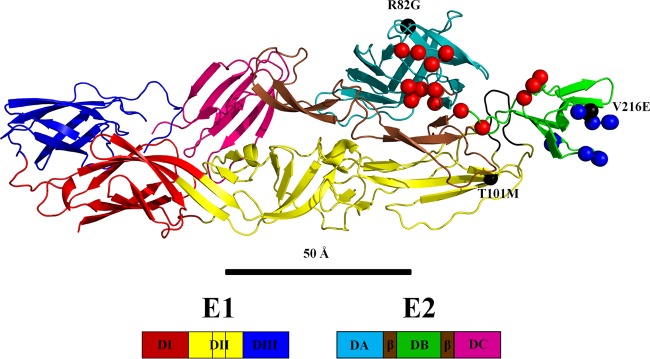 FIG 1