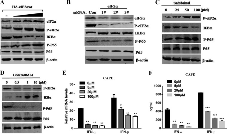 FIG 8