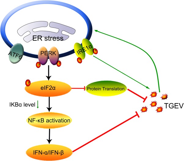 FIG 10