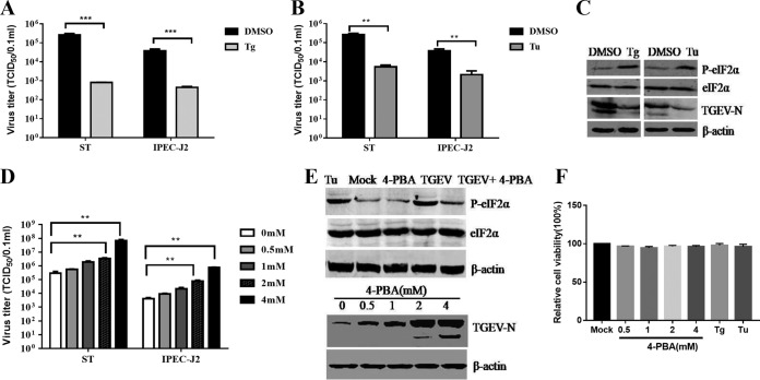 FIG 4