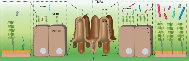 Figure 6.