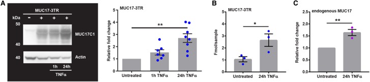 Figure 3.