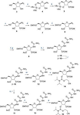 Scheme 1