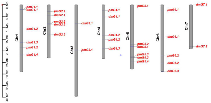 Figure 11