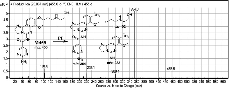 Fig. 5