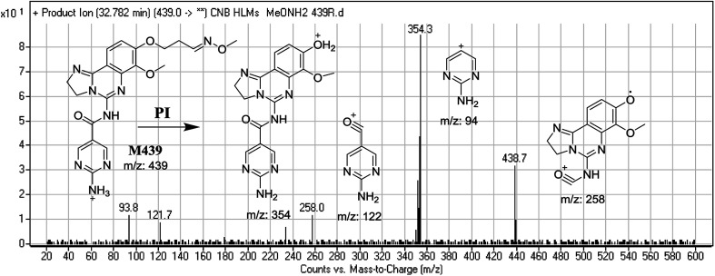 Fig. 10