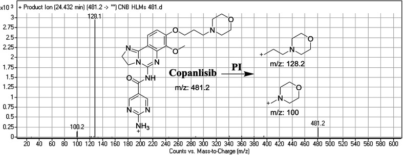 Fig. 2