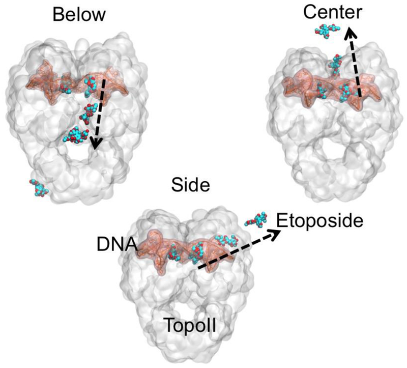 Figure 4.