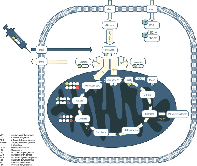 Fig. 1