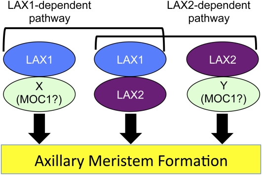 Figure 7.