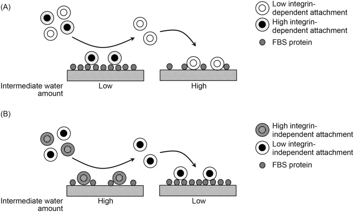 Fig 8