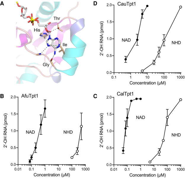 FIGURE 4.