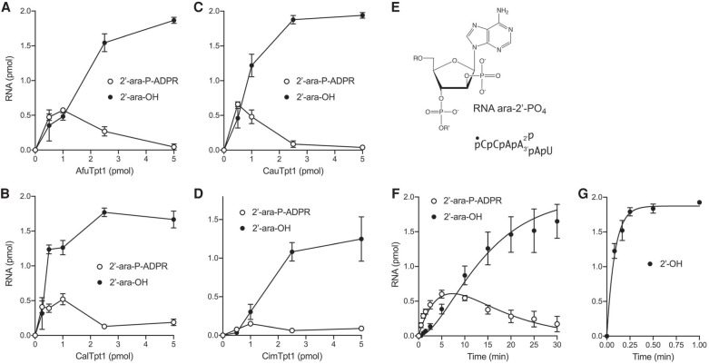 FIGURE 7.