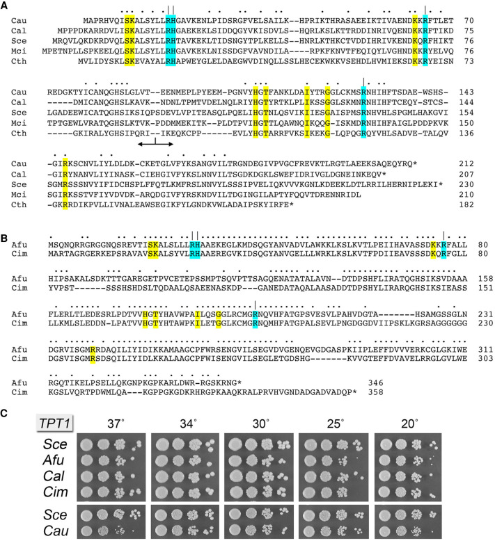 FIGURE 1.