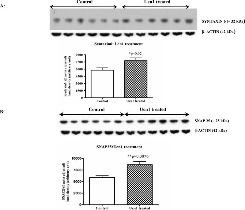 Figure 7A