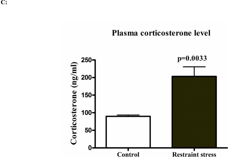 Figure 1A