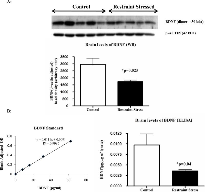 Figure 4A