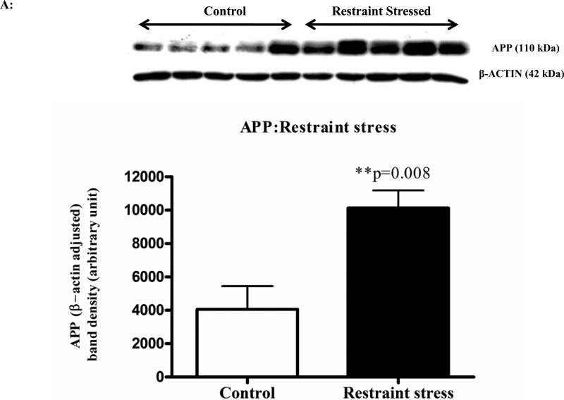 Figure 2A