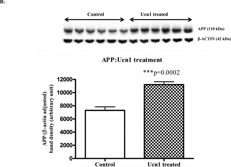 Figure 2A