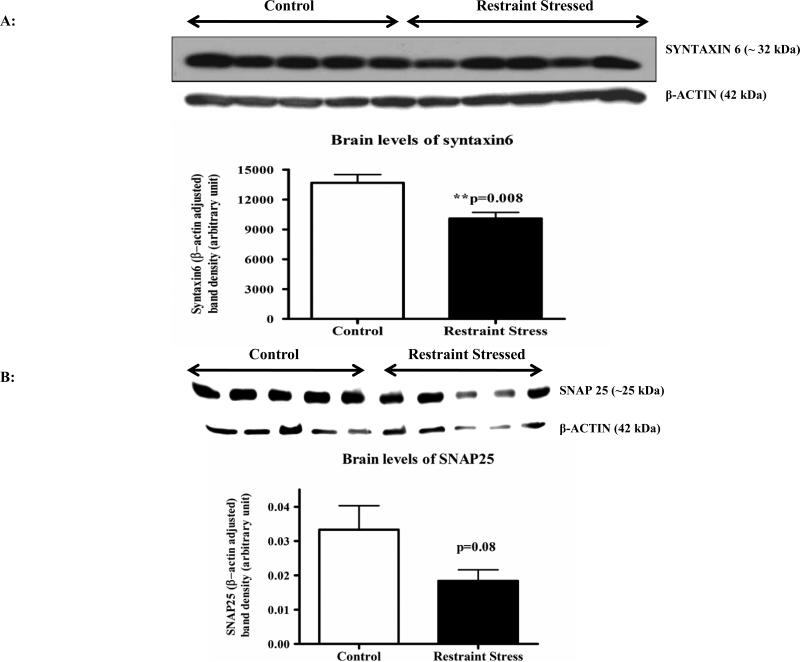 Figure 6A