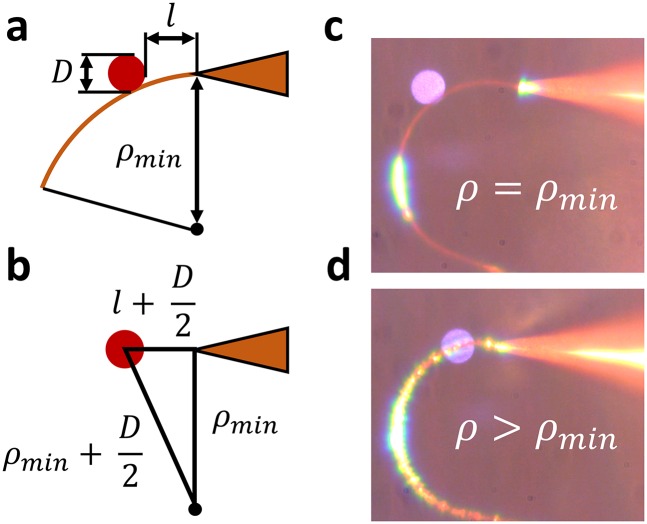 Fig. S3.