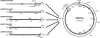 FIG. 1.